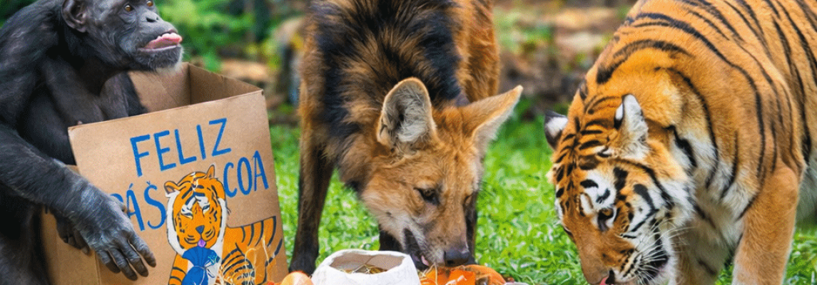 F177CE69-B59E-4739-ACEB-0C8B02AD07FC