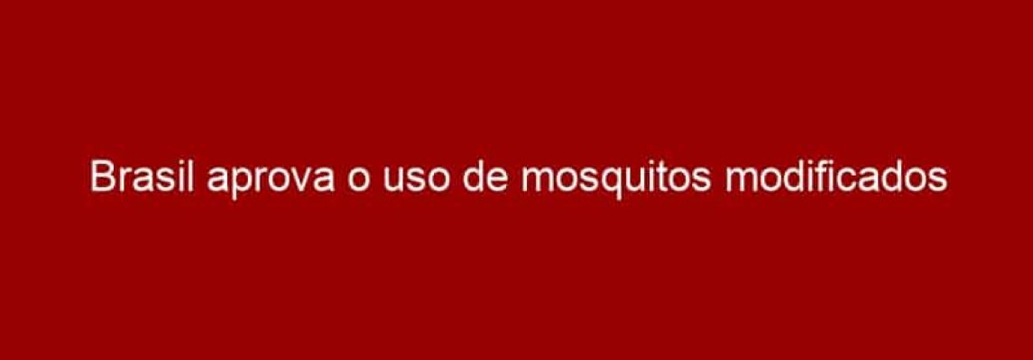 Brasil aprova o uso de mosquitos modificados geneticamente para combater a Dengue